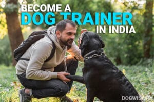 become a dog trainer in india