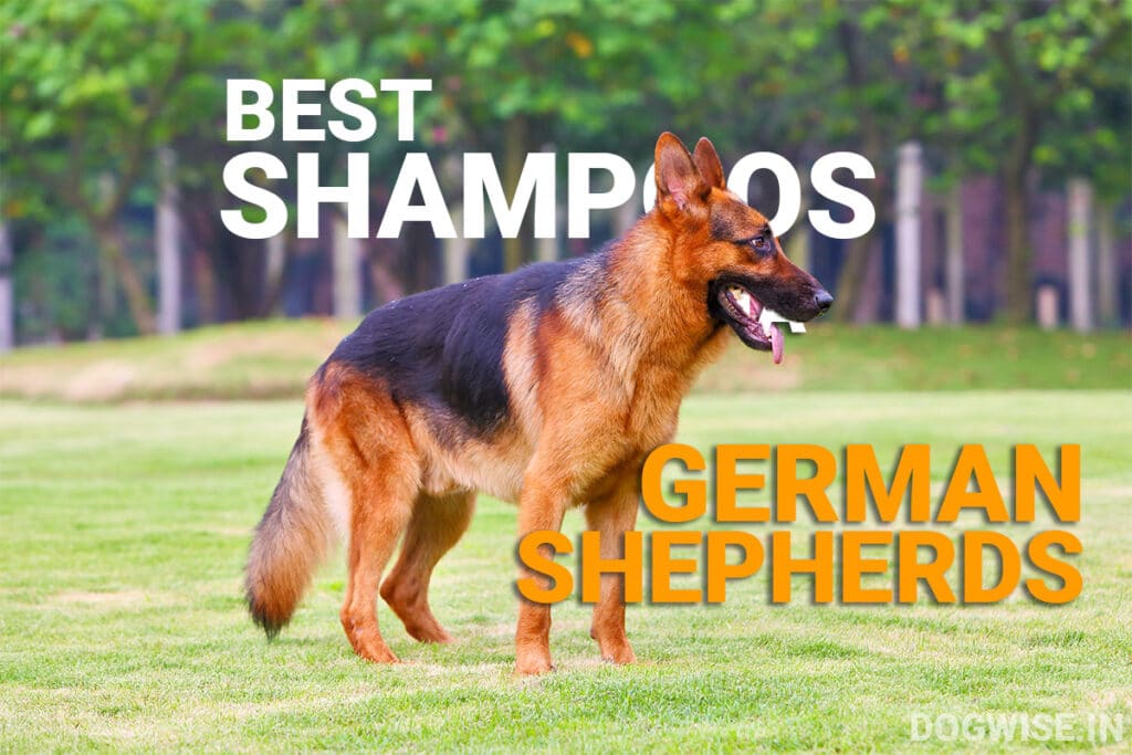 7 Best shampoos for German Shepherds in India - Dog Wise