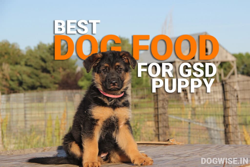 7 Best Dog food for German Shepherd Puppy in India Dog Wise