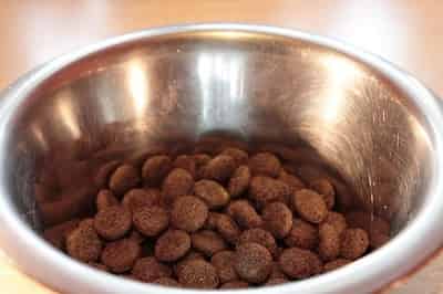 Put pedigree in bowl for puppy