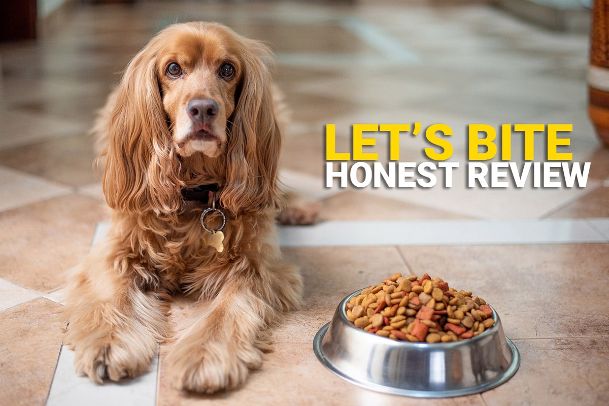 Let’s-Bite-Dog-Food-Honest-Review
