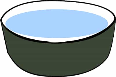 Put water in bowl for puppy