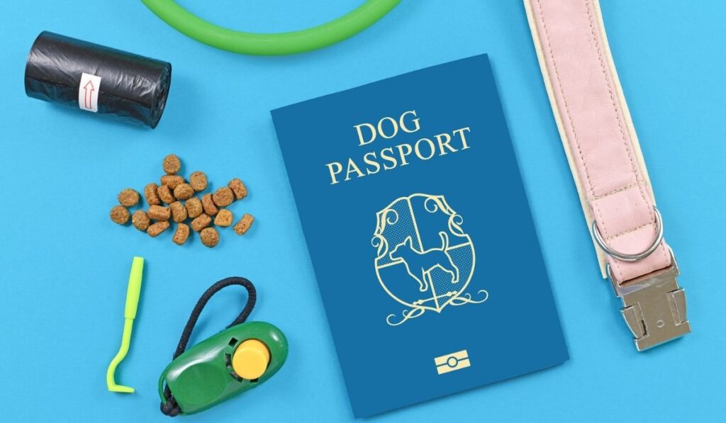 How to get a Dog Passport in India Dog Wise