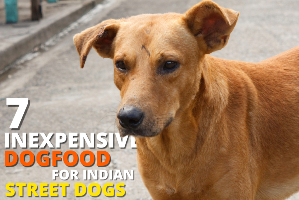 Inexpensive dog foods for Indian street dogs